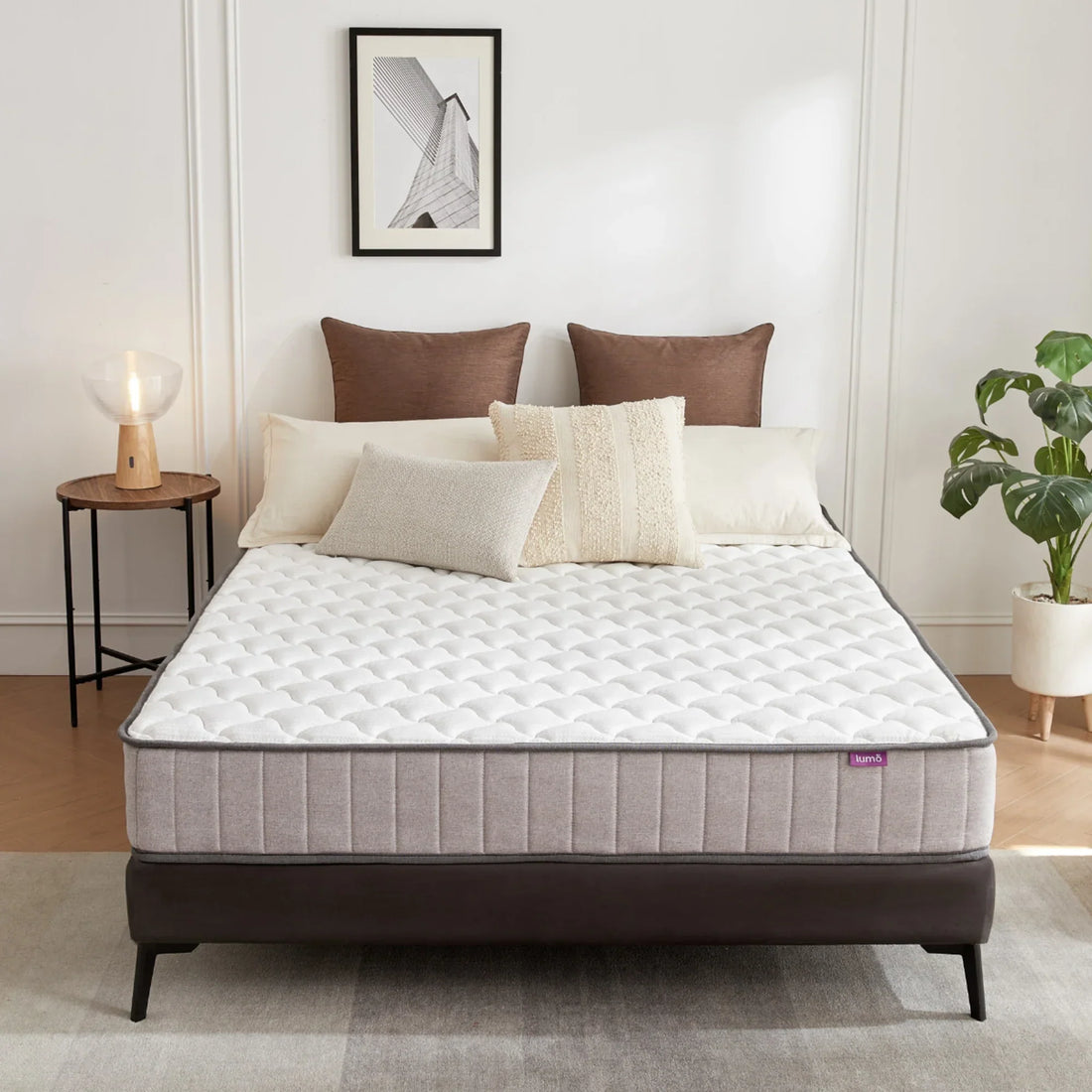 Introducing Lumo Mattress